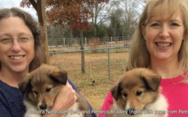 Sandra Niedrauer (left) and Rebeca Bradley (right) with pups from Rebeca's 2017 litter