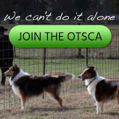 We can't do it alone, join the OTSCA