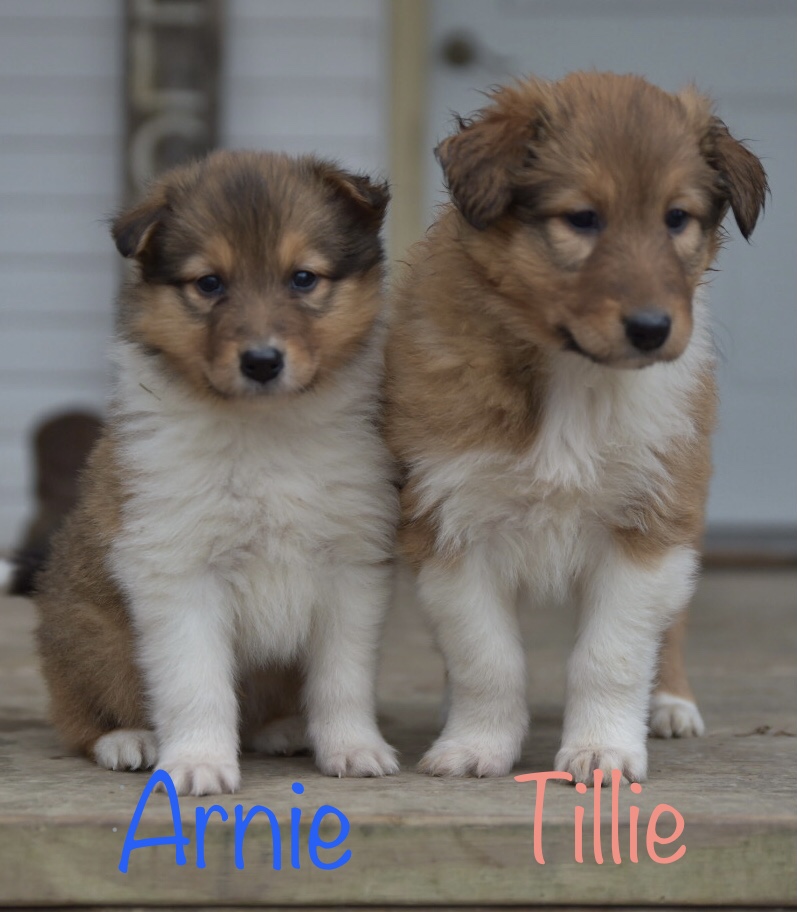 Arnie & Tillie